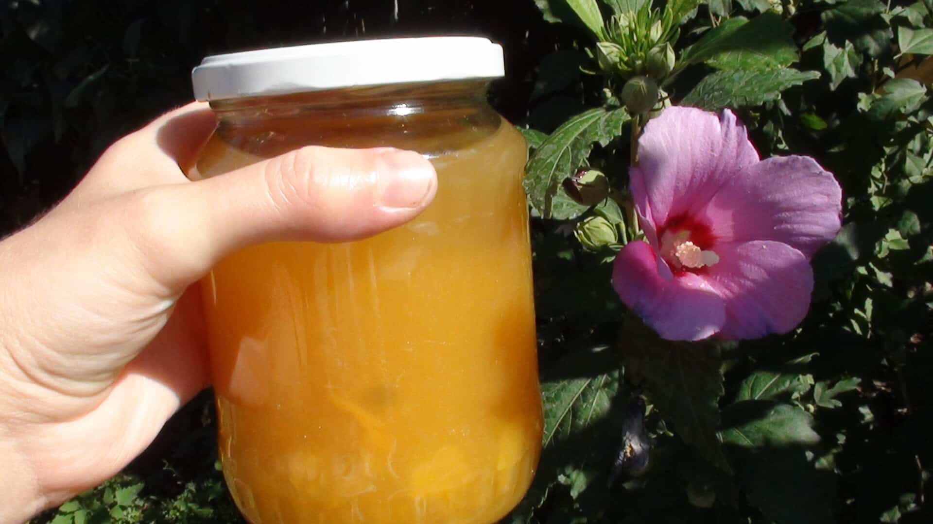 Őszibarackbefőtt (kb. 0,75 l-es 10 üveghez)