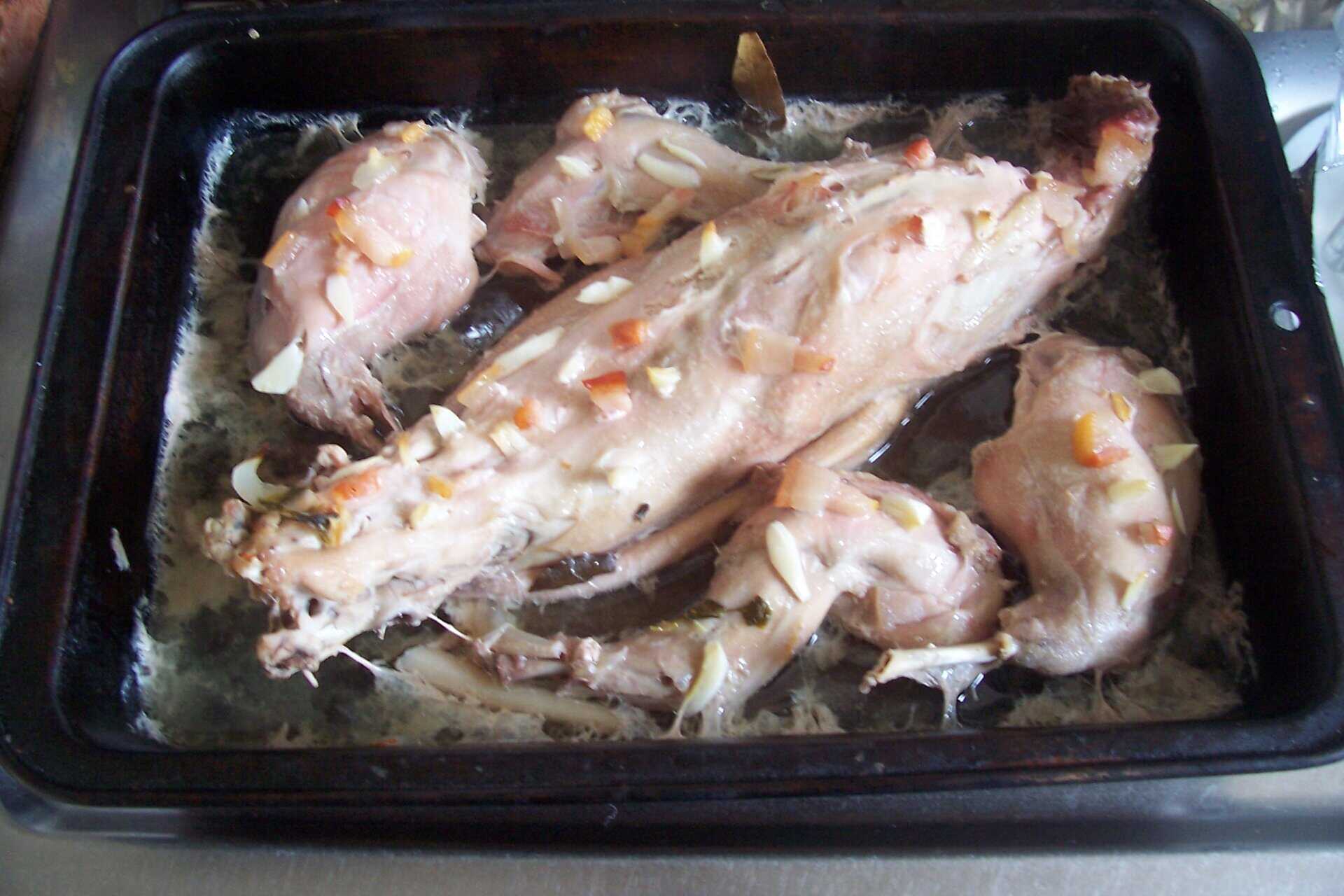 Vadas nyúl, mártás és burgonyafánk