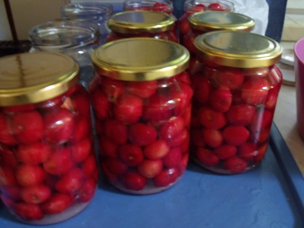 Cseresznye befőzés házilag (Csildi befőz)