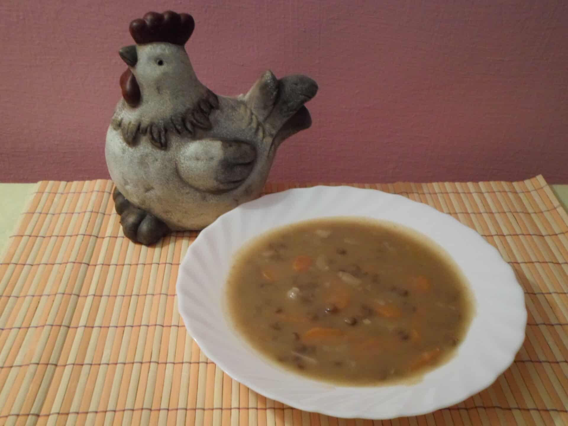 Gombás lencse leves