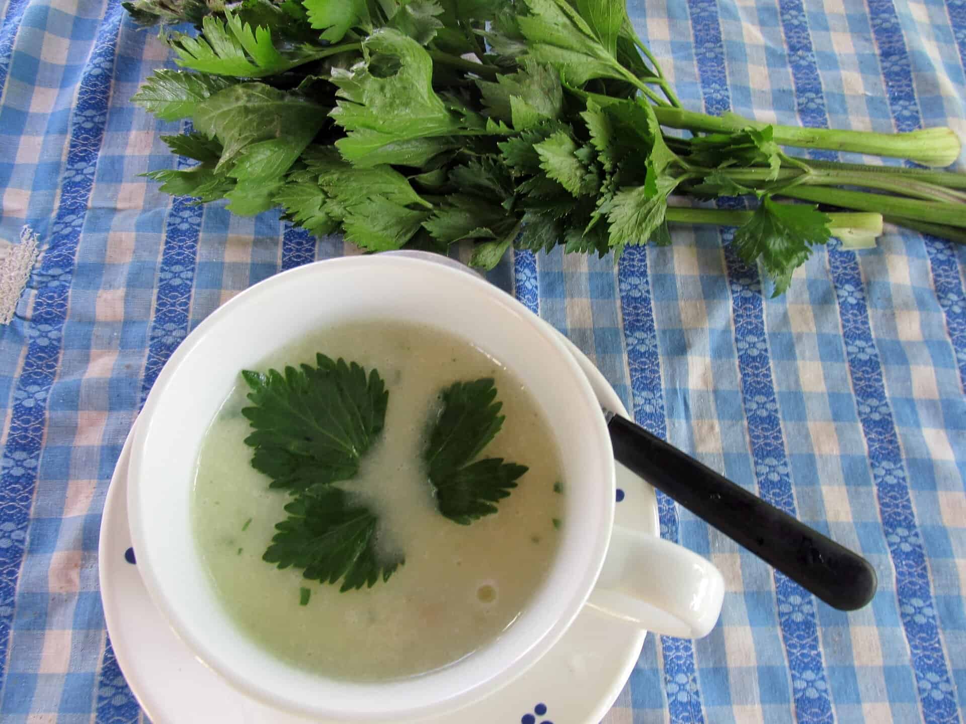 Tejszínes zellerkrém leves