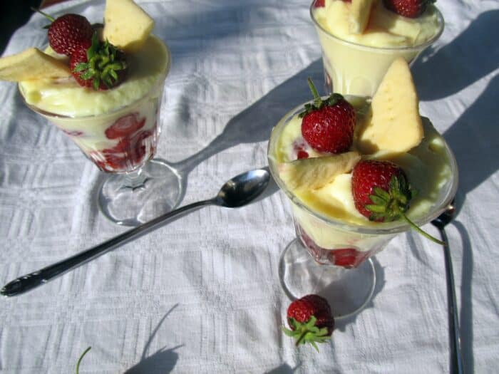 Wellness puding