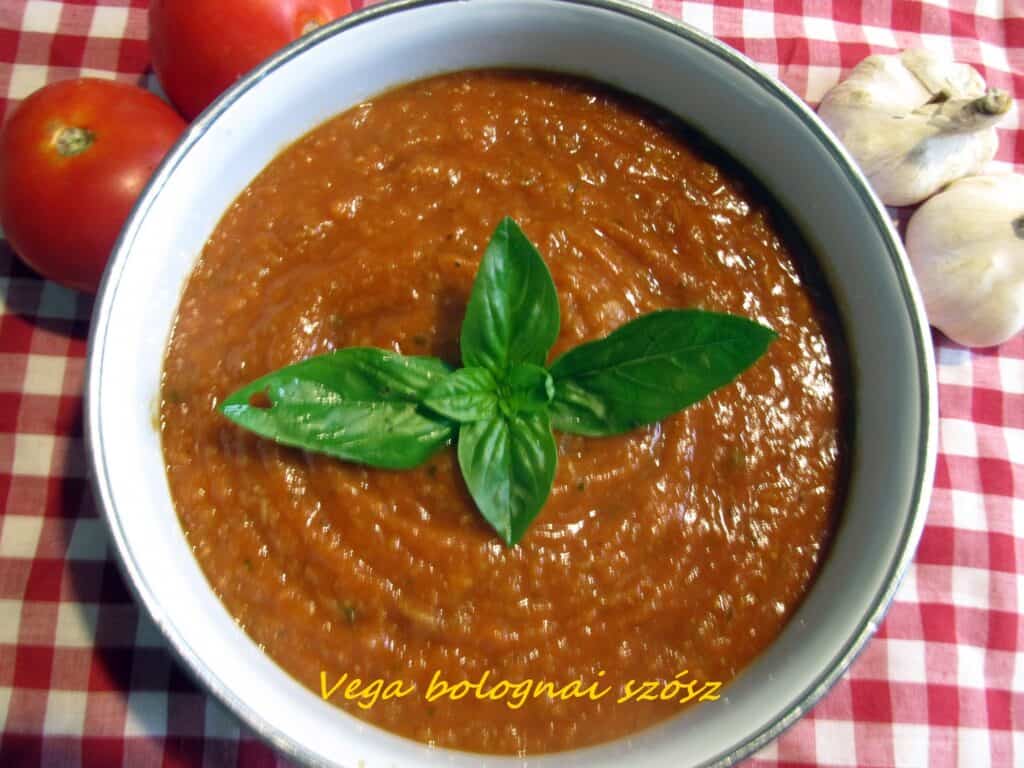 Vega bolognai szósz