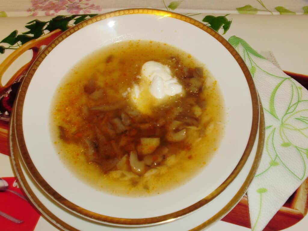Laska gomba leves