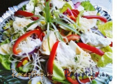 Vegyes saláta snidlinges joghurttal