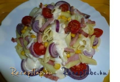 PENNE-SAJTOS-FÜSTÖLTHÚSOS-ZÖLDSÉGES