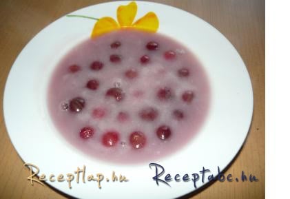 Gyümölcsleves