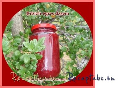 Ribizli-egres dzsem