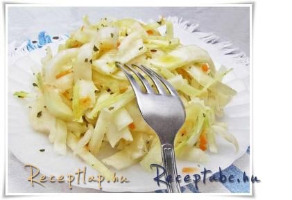 Amerikai káposztasaláta / coleslaw saláta